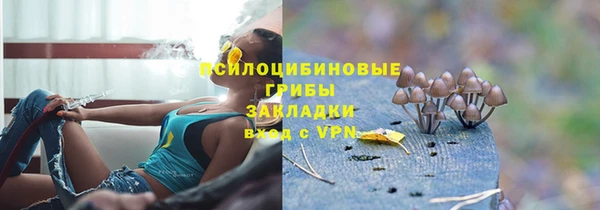 ECSTASY Покров