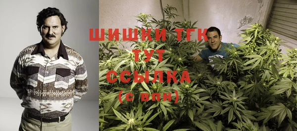 ГАЛЛЮЦИНОГЕННЫЕ ГРИБЫ Абаза