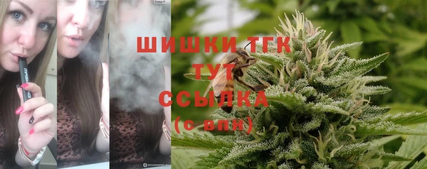 ГАЛЛЮЦИНОГЕННЫЕ ГРИБЫ Абаза